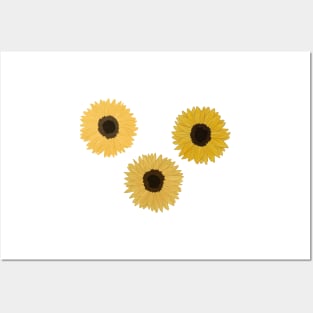 Three Sunflowers Posters and Art